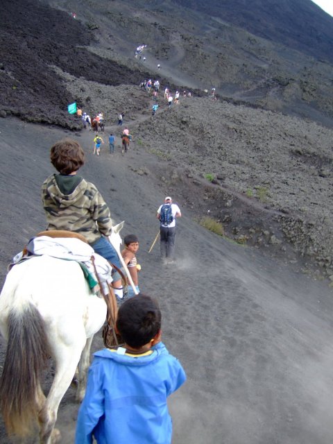trekking